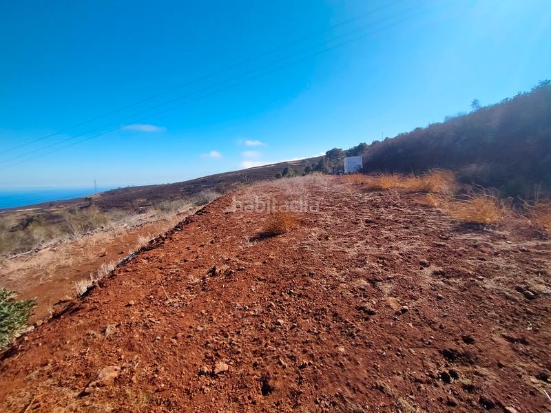Foto 00747a47-32c9-40e9-b73d-c7281a74bf35. Finca rústica a La Esperanza - Llano del Moro Rosario (El)