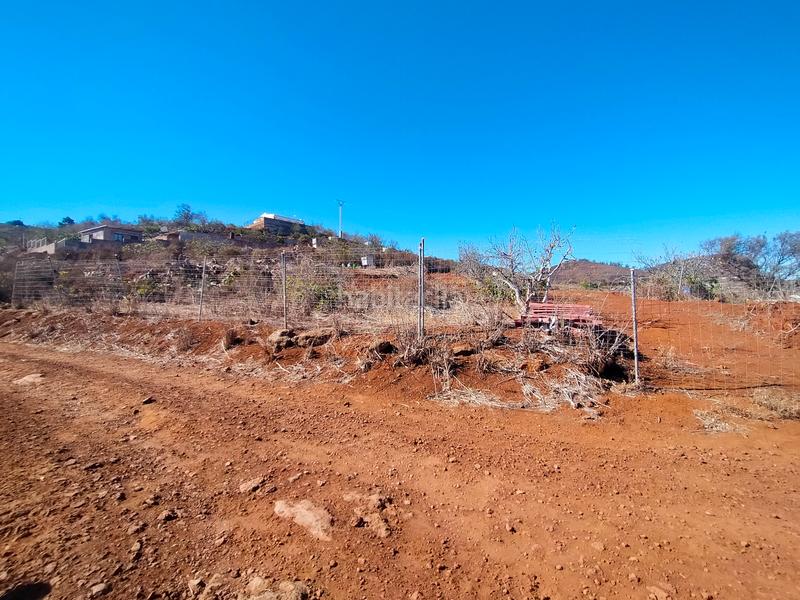Foto 61f4e7bf-9a43-44e5-b80c-d3552a8312df. Finca rústica a La Esperanza - Llano del Moro Rosario (El)