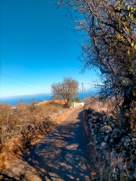 Foto 65a609ca-04e5-4d16-9cb7-885915ea2068. Finca rústica a La Esperanza - Llano del Moro Rosario (El)
