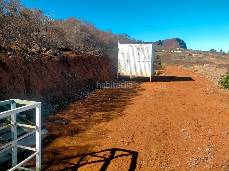 Foto 7550540b-079d-422e-b141-138f00a5e06f. Finca rústica a La Esperanza - Llano del Moro Rosario (El)