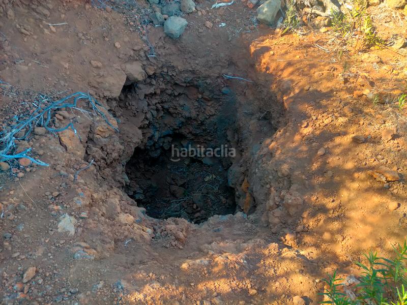 Foto b0f0f27c-7912-48ea-9b76-041e7305a668. Finca rústica a La Esperanza - Llano del Moro Rosario (El)