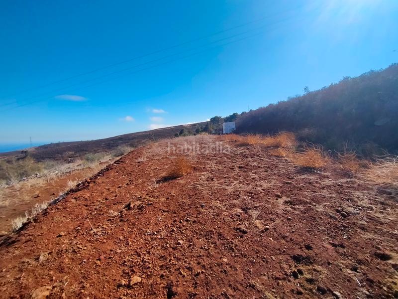 Foto b232de57-f292-4f6c-b066-093c1ed586af. Finca rústica a La Esperanza - Llano del Moro Rosario (El)