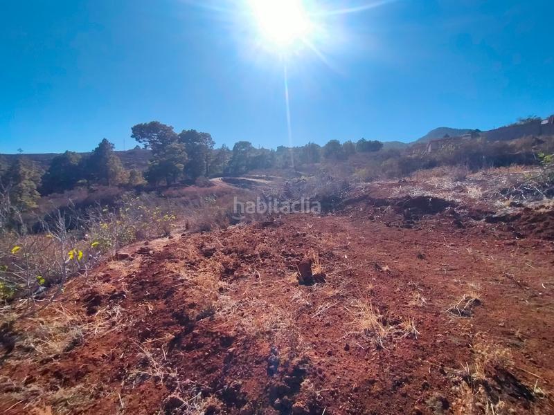 Foto d2445a75-e8a6-462b-94e1-dcbdbd65135b. Finca rústica a La Esperanza - Llano del Moro Rosario (El)