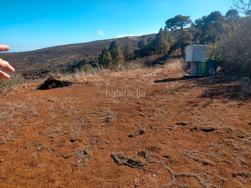 Foto d5af7df6-3c01-4b3f-a956-206e08bec410. Finca rústica a La Esperanza - Llano del Moro Rosario (El)