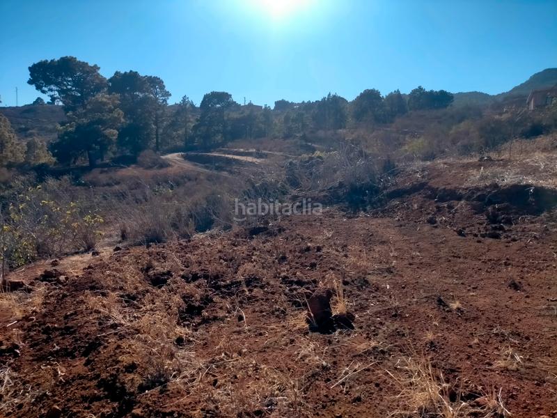 Foto f073f186-35c2-4b37-acb6-83a8dfd99827. Finca rústica a La Esperanza - Llano del Moro Rosario (El)