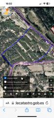 Finca rústica a Fasnia. Sienta la necesidad el alejarse del estres, del las urbes, dispo