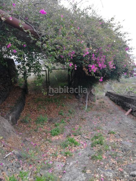 Foto dfa90089-3507-405d-b254-75d0a608f115. Finca rústica a Centro Güímar