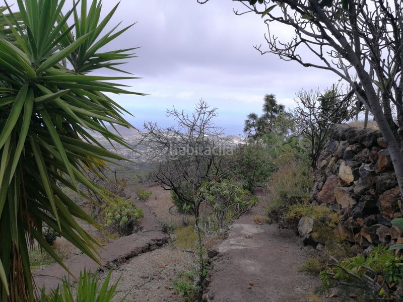 Foto f54d4bfb-cf34-4226-a08d-52d62394963d. Finca rústica a Centro Güímar