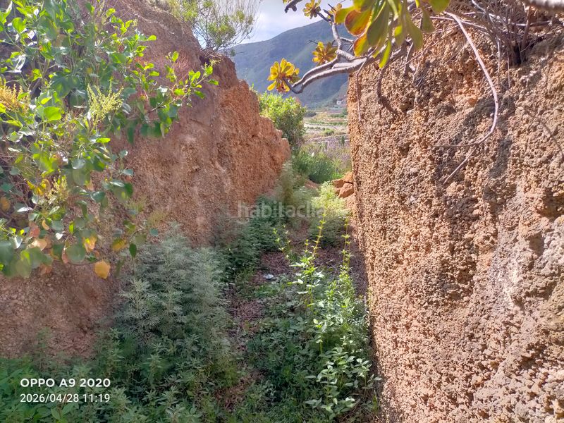 Foto fbeedbbf-f673-43d8-b024-70f177ac6659. Finca rústica terreno con cuevas en Centro Güímar
