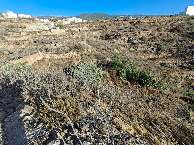Foto 544ca840-42e7-45c0-99fe-ddb484939d75. Finca rústica a Arico