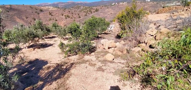 Foto 0fcb77a0-b21a-45d4-972c-543e1c7984a3. Finca rústica a Arico