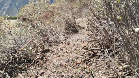 Foto 0f5b18d8-5564-4124-b749-2b654a5b53bd. Finca rústica a Centro Güímar