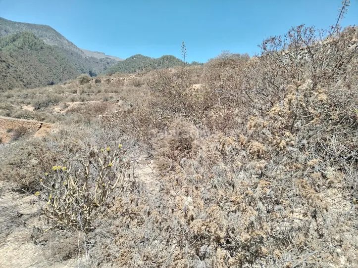 Foto 175d19e3-954d-470d-9fd3-201a802a9184. Finca rústica a Centro Güímar