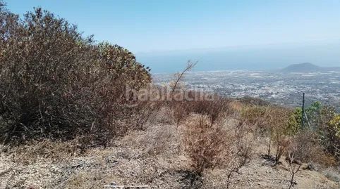 Foto b3d62703-4caf-47bb-8ce7-7bdd57fca89c. Finca rústica a Centro Güímar