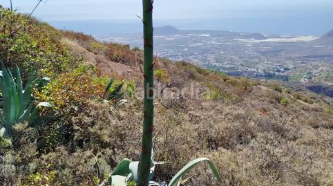 Foto d4add265-0585-4bd8-8aaa-f7b0fb41f43a. Finca rústica a Centro Güímar