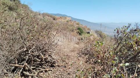 Foto da64a79a-2fb5-4f08-ac9f-b1d01a59db01. Finca rústica a Centro Güímar