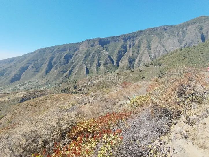 Foto dd1ed246-0d69-4819-9bf8-826ef1448696. Finca rústica a Centro Güímar