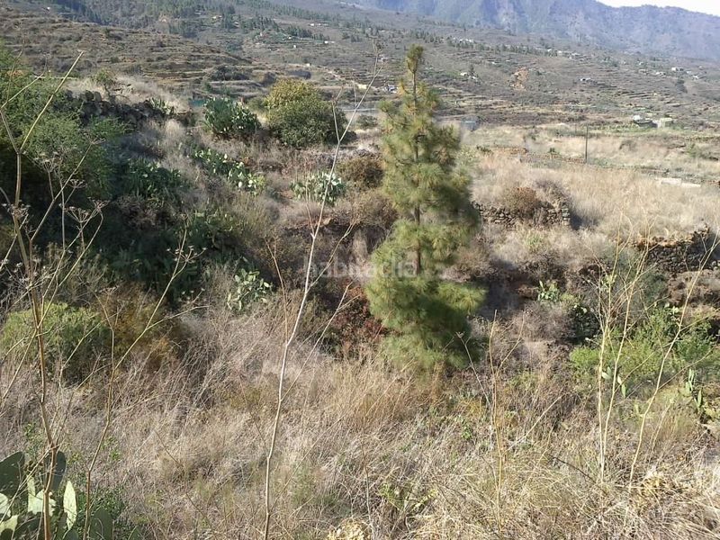 Foto 34ce223e-bc3f-4334-b265-bb86435b9324. Finca rústica a Arafo