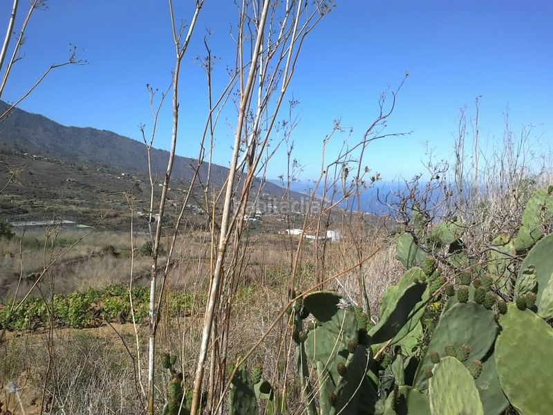 Foto 37cad2b1-ab5e-47d2-b0b6-667d3c5f9708. Finca rústica a Arafo
