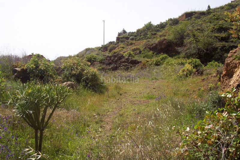 Foto c0888c60-0115-4296-9173-4e07f04e4968. Finca rústica a Arafo