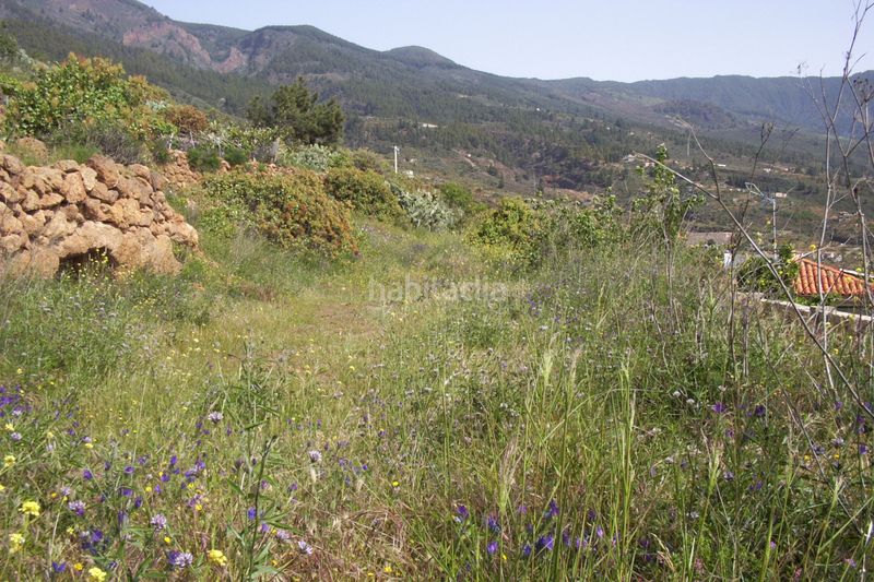 Foto eeb711f4-b1c7-4806-974e-8e03e00bfade. Finca rústica a Arafo