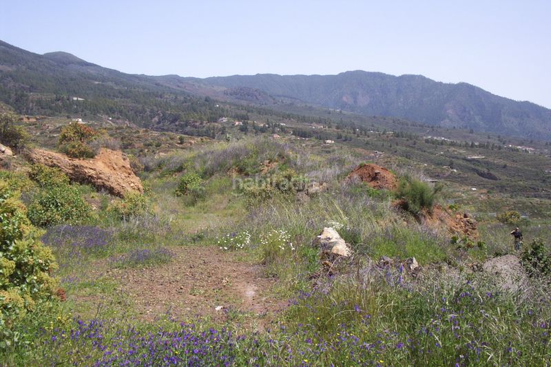 Foto f8ea9f7e-b049-466f-aa90-5e2df33d8108. Finca rústica a Arafo