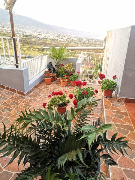 Foto ffb78627-3bc4-4add-b14e-bcb31d64108a. Rent house with parking in Centro Güímar