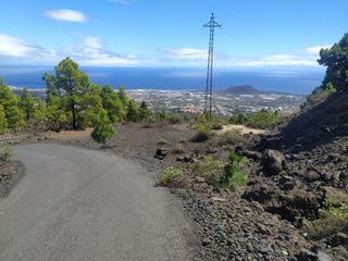 Fondo rustico in Calle lomo grillo arriba 1. Por solo 14.000,00€. oportunidad en altos de güímar: terreno agr