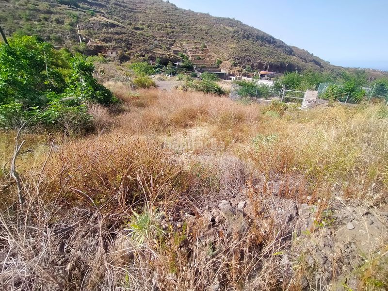 Foto 7314e7bd-0c19-48da-96ee-3b33389c6637. Finca rústica a calle lomo grillo arriba 1 a Centro Güímar