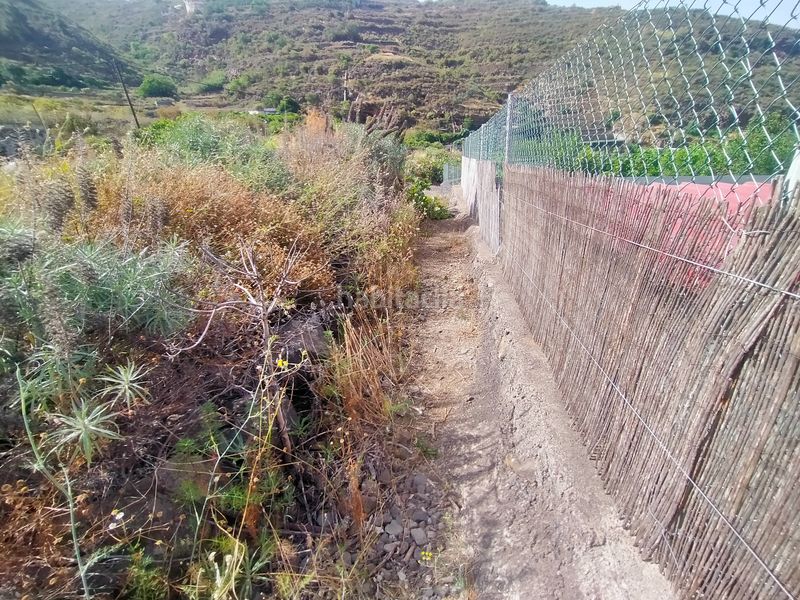 Foto d4f13c20-bcfd-481b-8f57-d2d1799ca811. Finca rústica a calle lomo grillo arriba 1 a Centro Güímar