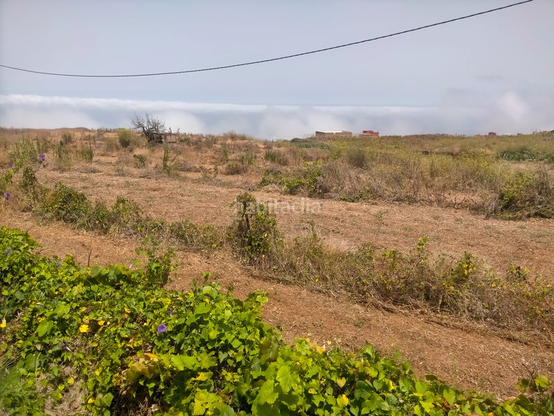 Foto 472bb52a-f9e9-44b2-bf99-f58e82cfc86a. Finca rústica a Sauzal (El)