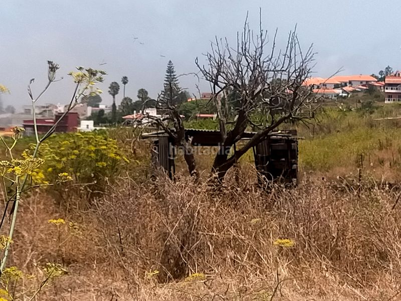 Foto 5aac0c62-0d2e-4374-b75d-f3dfa120f8a5. Finca rústica a Sauzal (El)