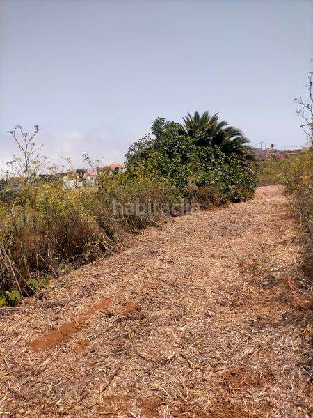Foto 6869df46-949e-451d-bc19-f79ed5ff8830. Finca rústica a Sauzal (El)