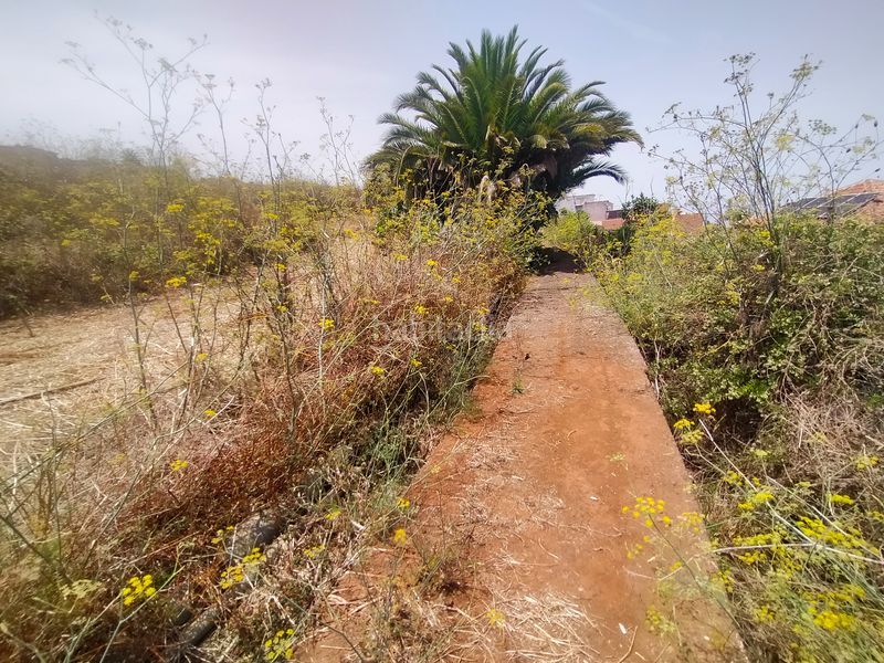 Foto a8f34169-e25d-49e4-b81c-343bf8bfc2cc. Finca rústica a Sauzal (El)