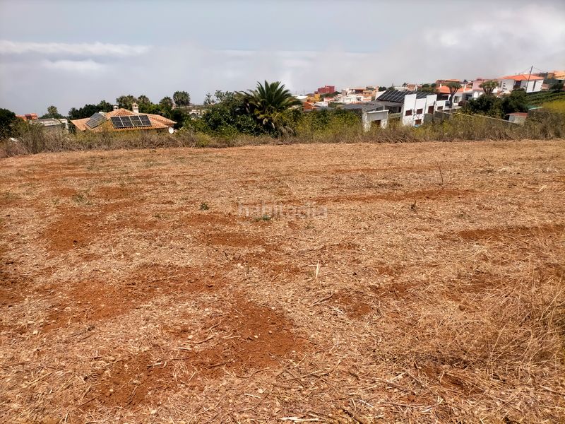 Foto afdcb6fd-cb91-4a62-babb-6654e3b874ae. Finca rústica a Sauzal (El)