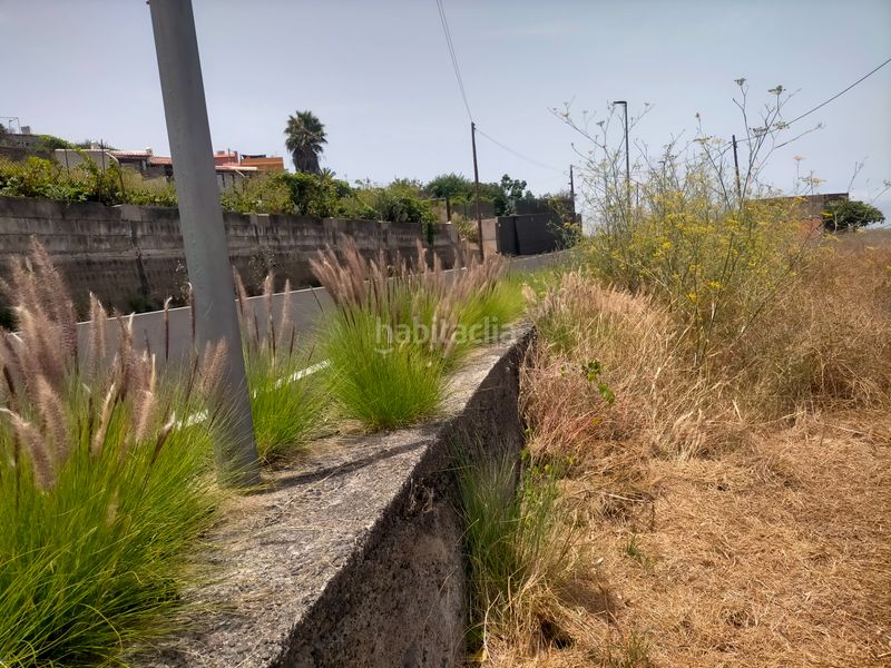 Foto c163f468-8b03-4816-90e5-047df6078af7. Finca rústica a Sauzal (El)