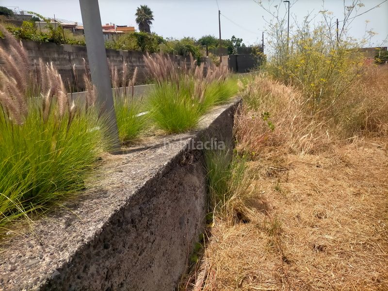 Foto c9dc75ba-2ee7-40e2-bd3f-86f53b56a60c. Finca rústica a Sauzal (El)