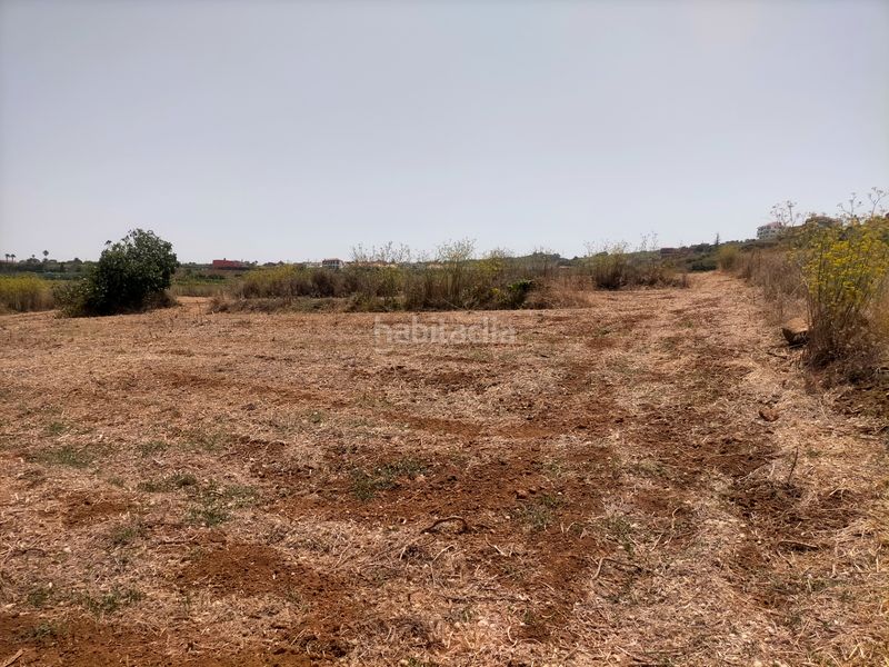 Foto d8a8fef7-116f-4c59-ad56-84622dacb989. Finca rústica a Sauzal (El)