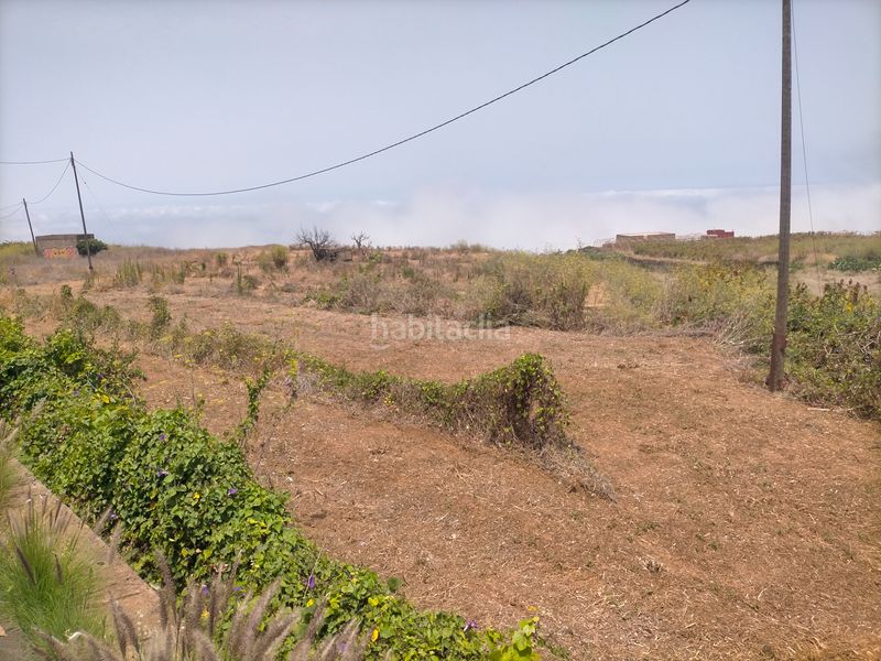 Foto e8c5053b-0dfc-4358-89c2-16016d74b403. Finca rústica a Sauzal (El)