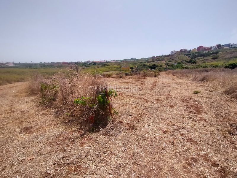 Foto eab12391-a8a5-4e0f-953d-e4be5864bee7. Finca rústica a Sauzal (El)