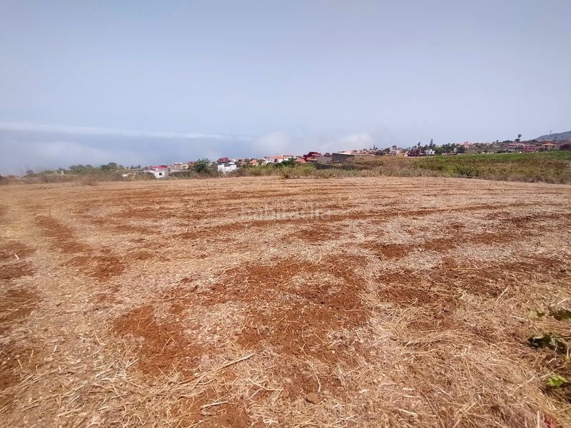 Foto f305f58d-97be-4fae-a7df-3bfe3ae2d71d. Finca rústica a Sauzal (El)