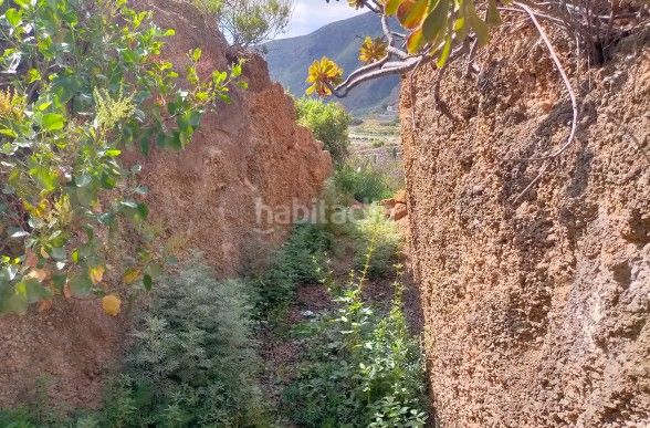 Foto 80c56a20-1a0a-4f37-8859-100335e52015. Finca rústica a Centro Güímar