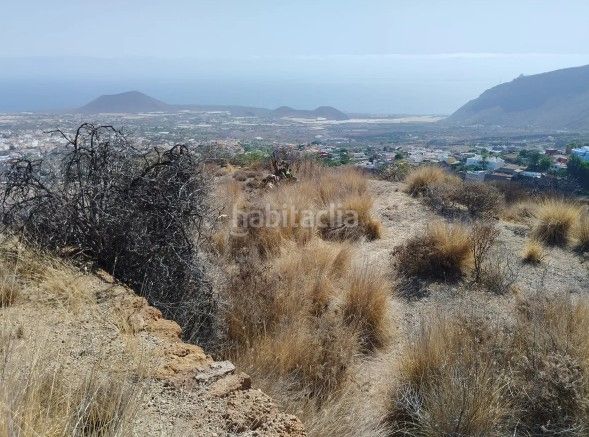 Foto 8e47b5fa-8659-49b8-8ce5-da15e9f74924. Finca rústica a Centro Güímar