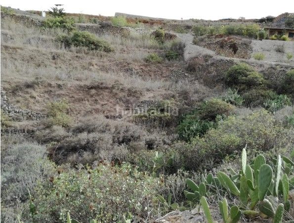 Foto ab892263-9497-4892-b555-3527c5102f65. Finca rústica a Centro Güímar