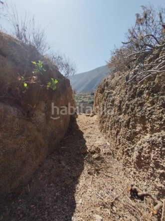 Foto eafb3c41-1c33-4bd5-8e3c-1aa9783275eb. Finca rústica a Centro Güímar