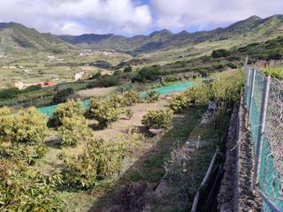 Landgut in Buenavista del Norte