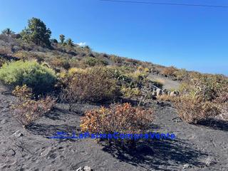 Terreno residenziale in Carretera el hoyotodoque 86