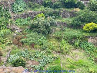 Propriété  Calle el poiso. Id-593 pedacito de terreno con relva y frutales