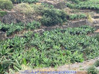 Propriété à Calle ramírez 31a. Id-592 pedacito de terreno con platanera