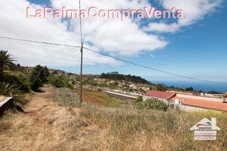 Propriété à Carretera 6. Id-491  ¡oportunidad única en puntagorda!